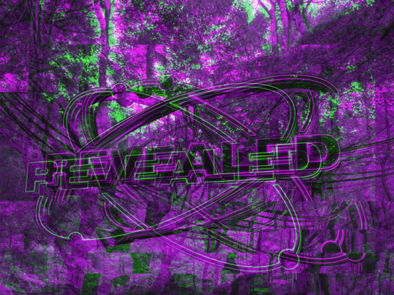 Forest Anomaly EP (EP)