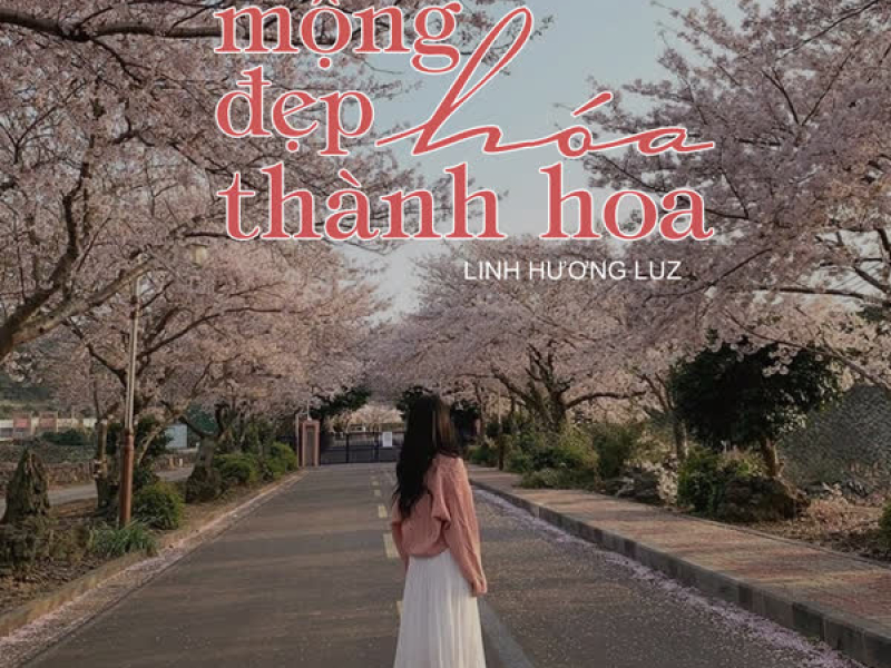Mộng Đẹp Hóa Thành Hoa ( CaoTri Lofi) (Single)