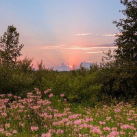 It’s That Time Again (Single)