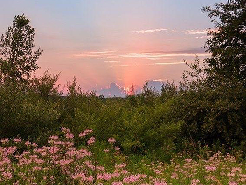 It’s That Time Again (Single)