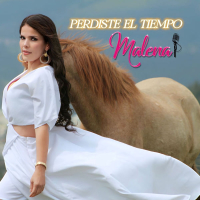 Perdiste el Tiempo (Single)