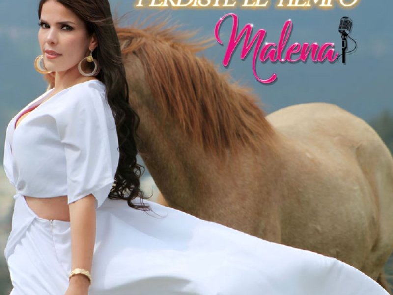 Perdiste el Tiempo (Single)