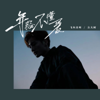 年轻不懂爱 (DJ阿卓版) (Single)