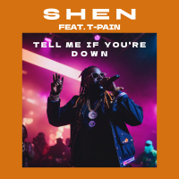 Tell Me If You're Down (feat. T-Pain) (Single)