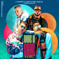 Nadie Lo Sabe (Remix) (Single)