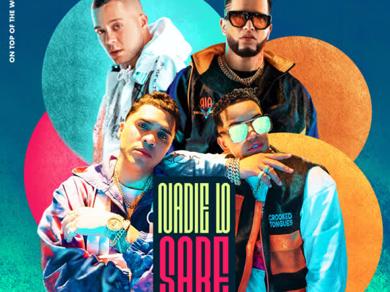 Nadie Lo Sabe (Remix) (Single)