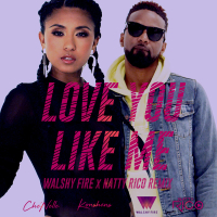 Love You Like Me (Walshy Fire x Natty Rico Remix) (Single)