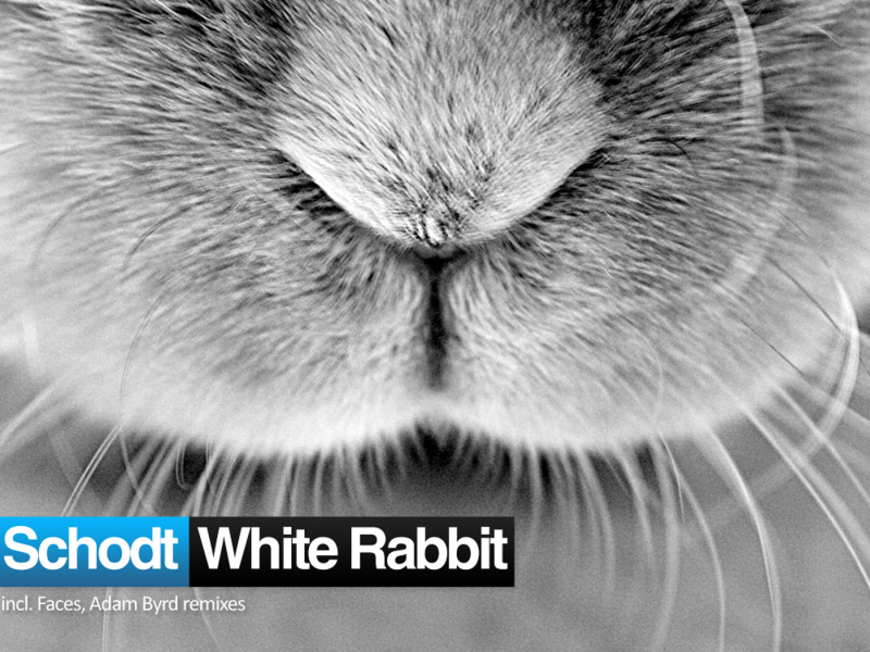 White Rabbit