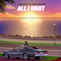 All I Want (Flamingo Cartel Mix) (Single)