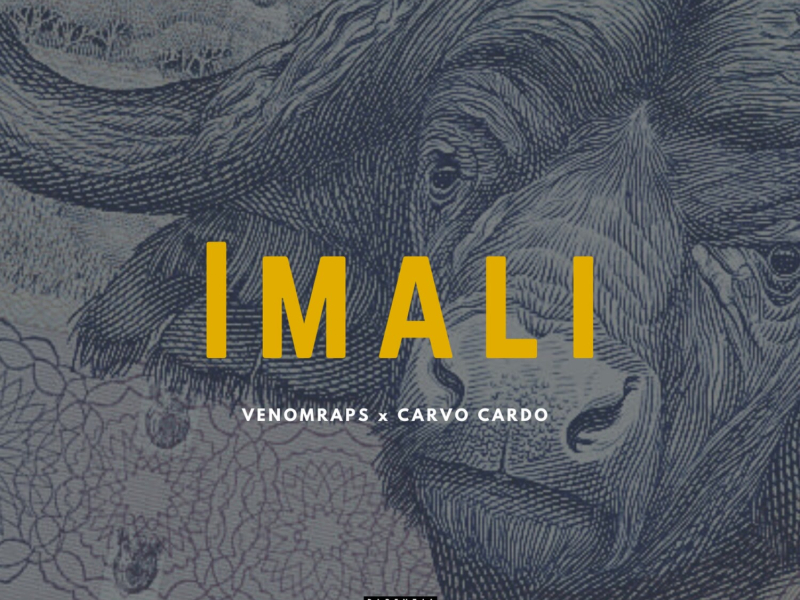 Imali (Single)