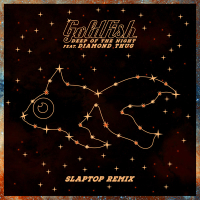 Deep Of The Night (Slaptop Remix) (Single)