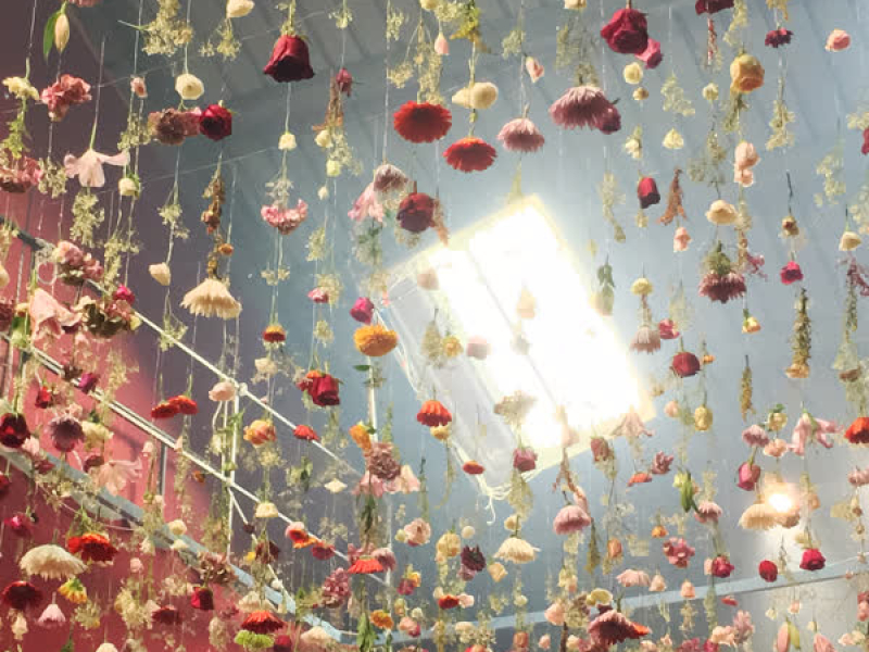 Make a Wish (Single)