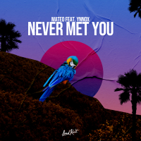 Never Met You (Single)