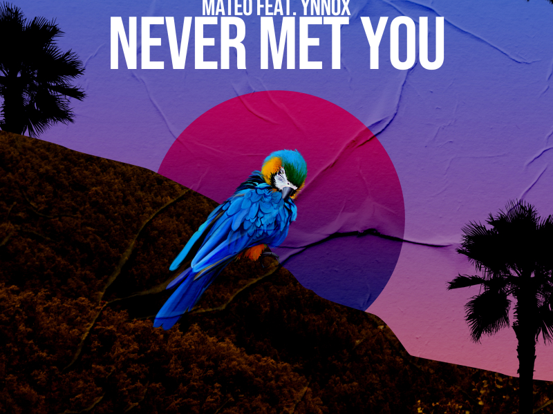 Never Met You (Single)
