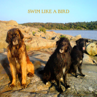 Swim Like a Bird (Single)