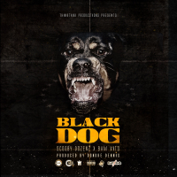 Black Dog (Single)