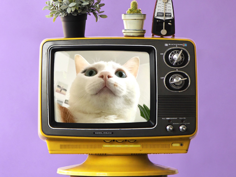 LISTEN 013 Afternoon Dream (Single)