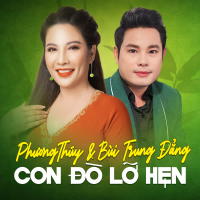 Con Đò Lỡ Hẹn (Single)