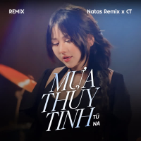 Mưa Thủy Tinh (Remix) (Single)