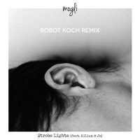 Strobe Lights (feat. Kilian & Jo) (Robot Koch Remix) (Single)