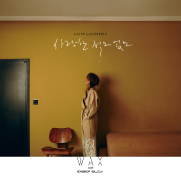 Coin Laundry (Never Loved) (Single)