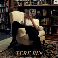 TERE BIN (Single)