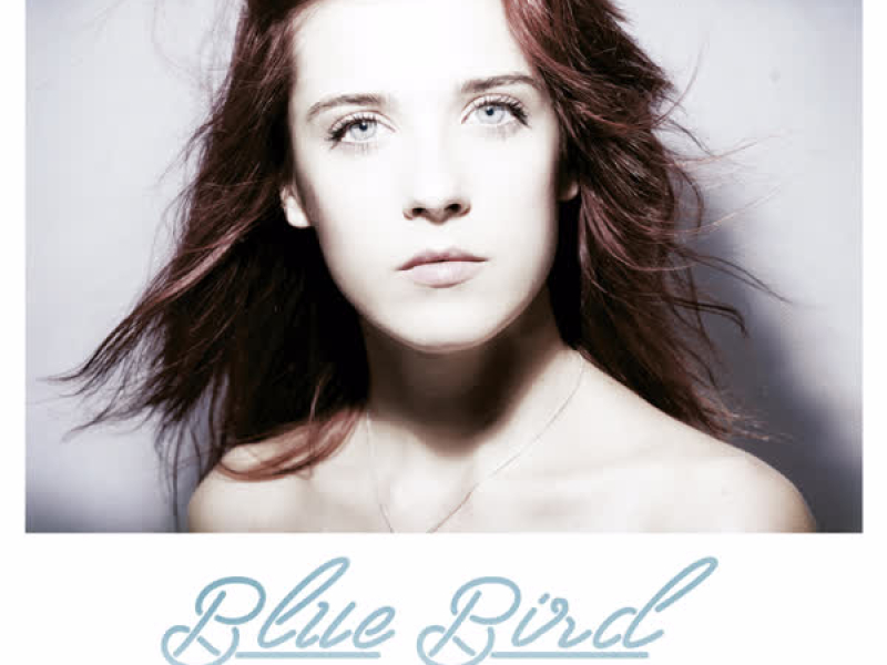 Blue Bird