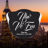 Nhớ Về Em (EDM) (Single)