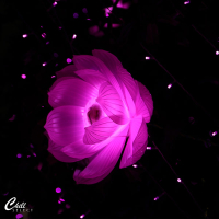 Lost In Thought | Missing You Maybe (Single)