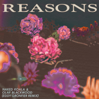 Reasons (Eddy Gronfier Remix) (Single)
