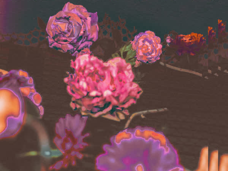 Reasons (Eddy Gronfier Remix) (Single)