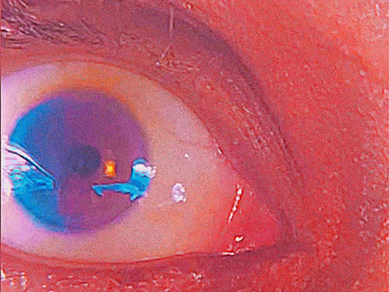 Come Back To Life (Single)