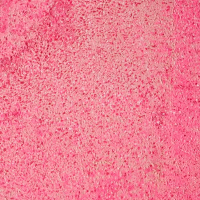 인터스텔라 (feat. 버벌진트) (Single)