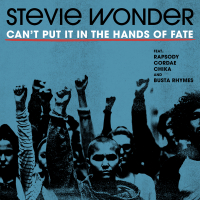 Can't Put It In The Hands Of Fate (Single)