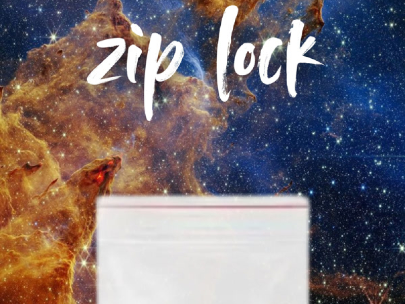 zip lock (Single)