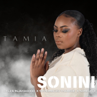 Sonini (Single)