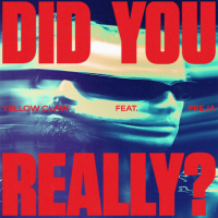 Did You Really? (Single)