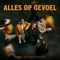 Alles Op Gevoel (Single)
