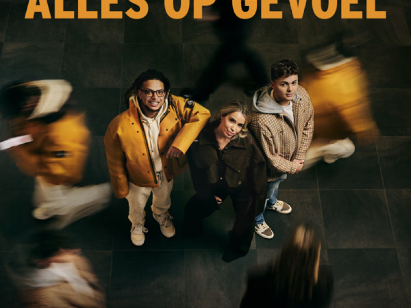 Alles Op Gevoel (Single)