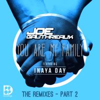 You Are My Family - The Remixes Part 2