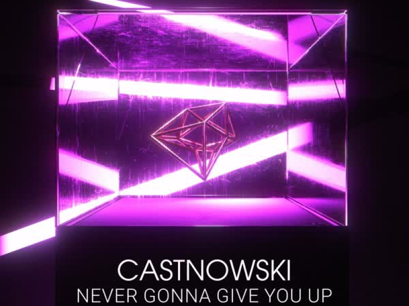 Never Gonna Give You Up (Single)