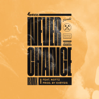 Never Change (Remix) [feat. Nottz]