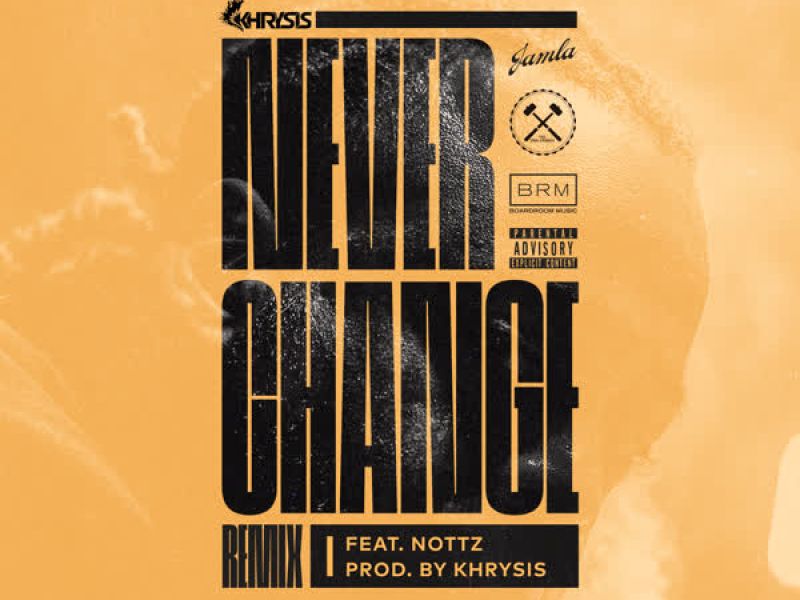 Never Change (Remix) [feat. Nottz]