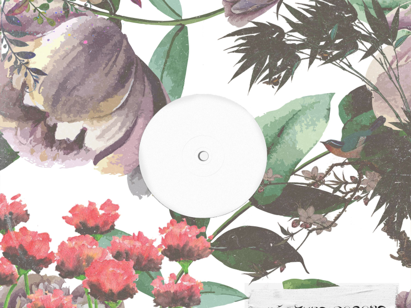 sweet reality (Single)