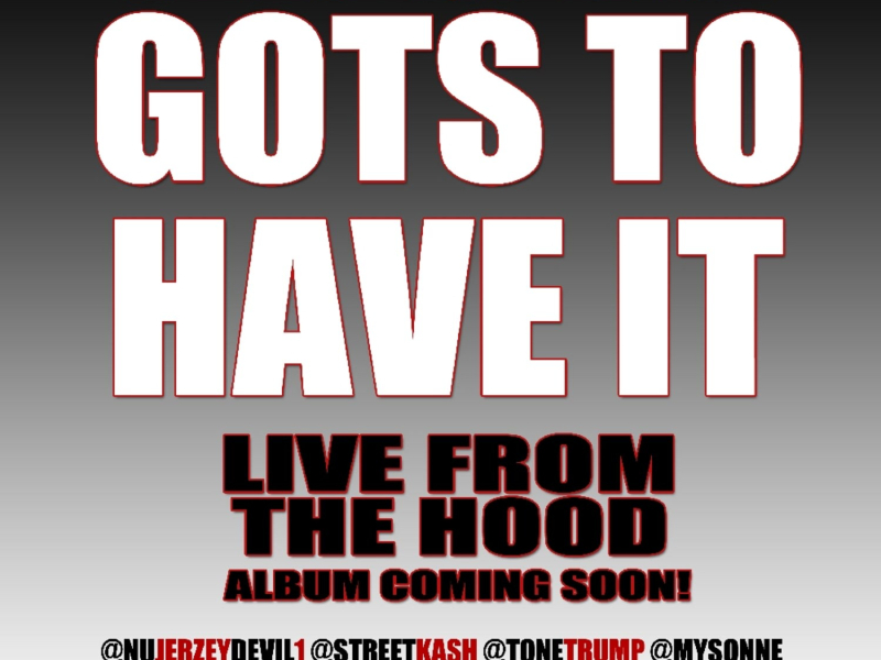 Gots To Have It (Single)