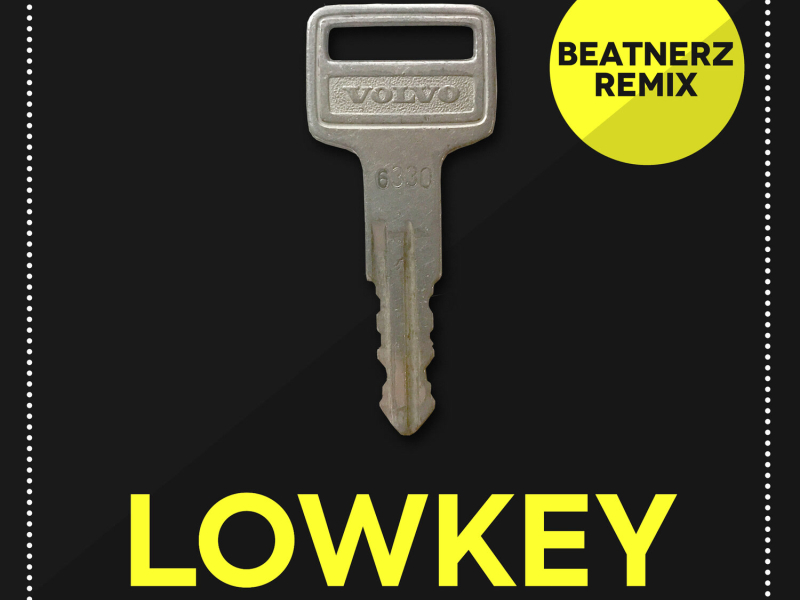 Lowkey (Beatnerz Remix) (Single)