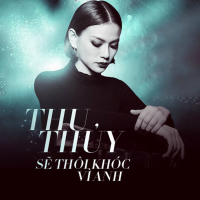 Sẽ Thôi Khóc Vì Anh (Single)