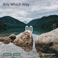 Any Which Way (Single)