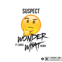 Wonder What?! (Remix) (Single)