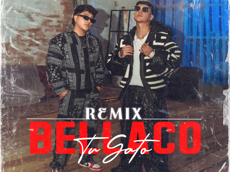 Tu Gato Bellaco (Remix) (Single)
